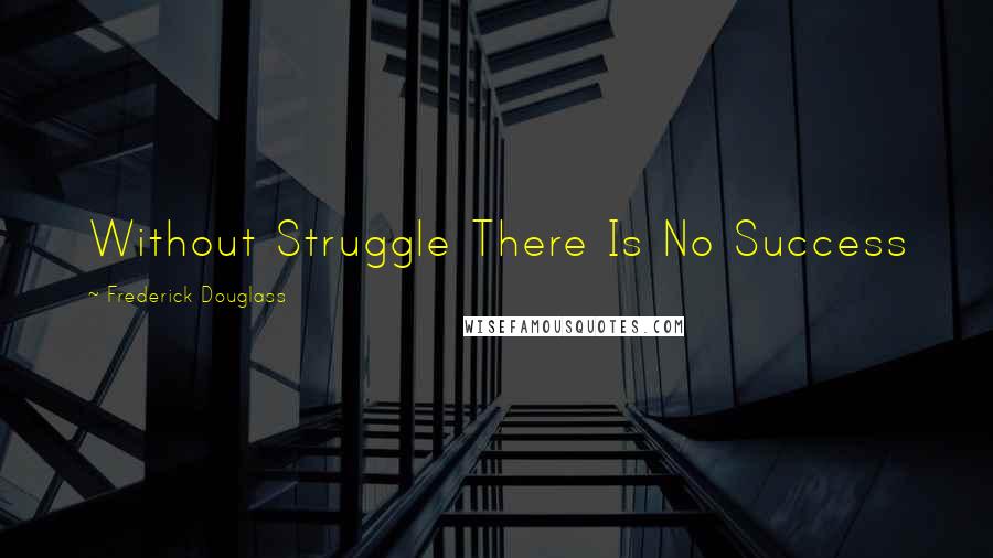 Frederick Douglass Quotes: Without Struggle There Is No Success