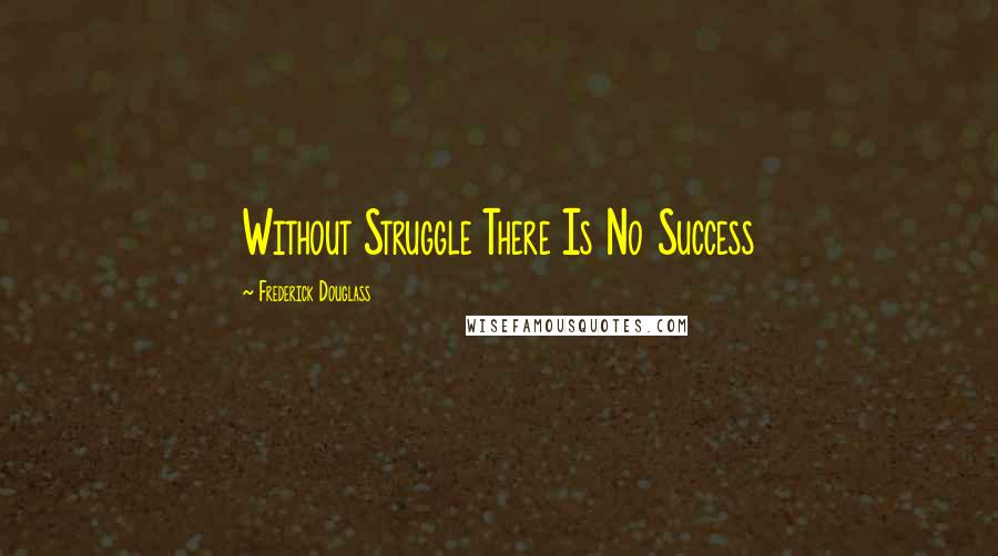 Frederick Douglass Quotes: Without Struggle There Is No Success