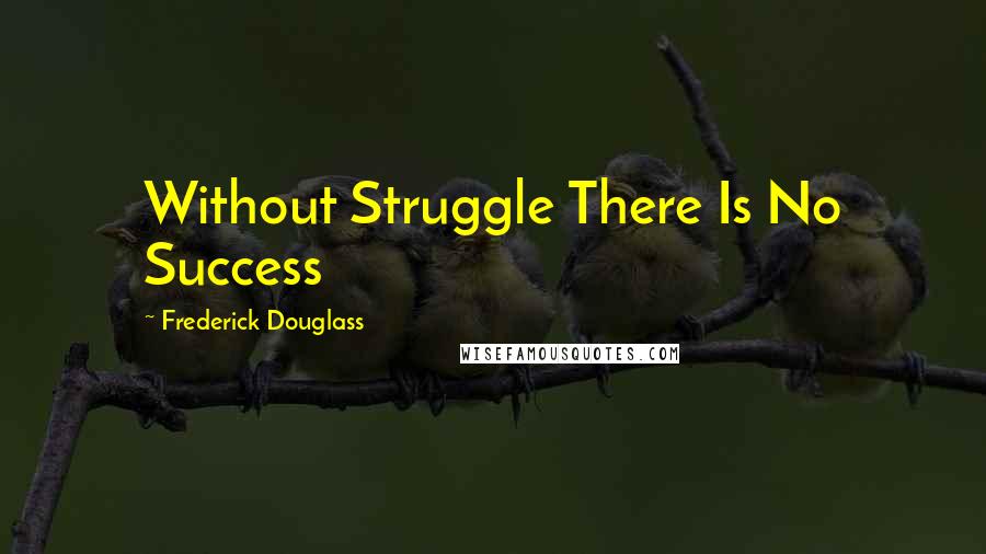 Frederick Douglass Quotes: Without Struggle There Is No Success