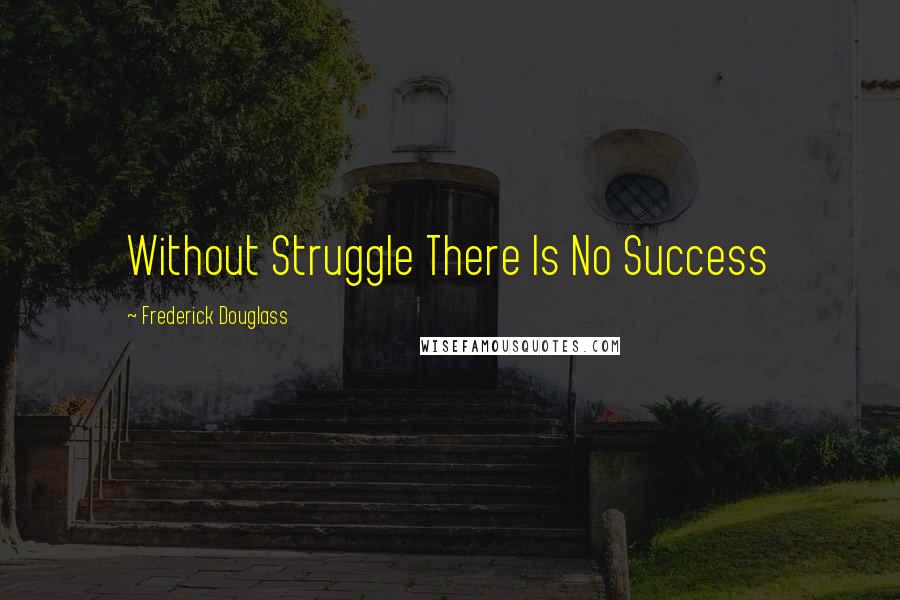 Frederick Douglass Quotes: Without Struggle There Is No Success