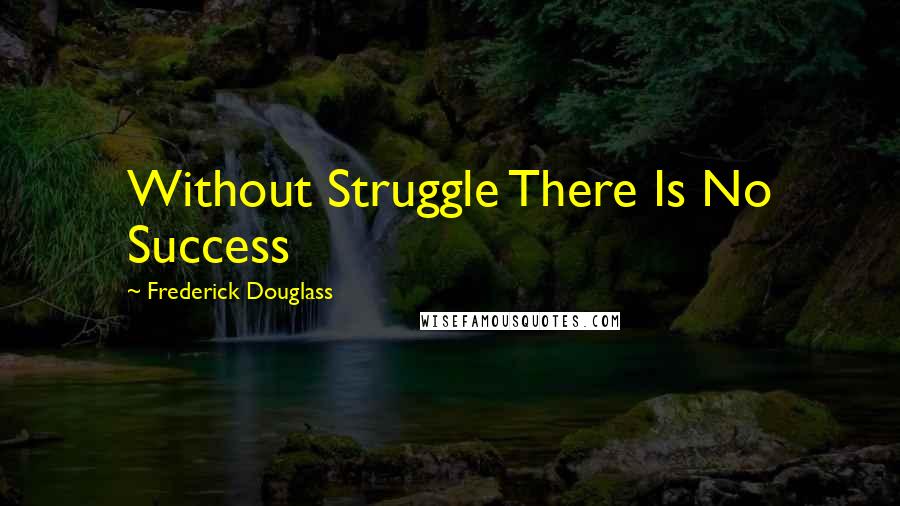 Frederick Douglass Quotes: Without Struggle There Is No Success