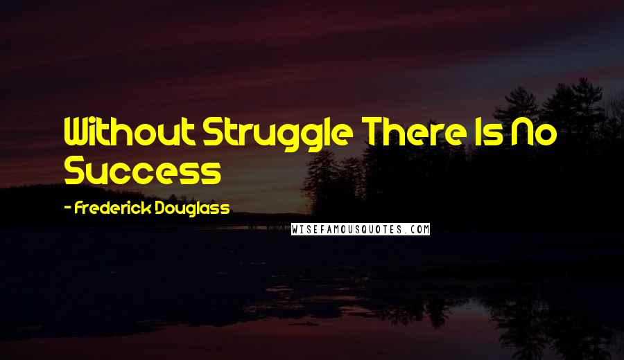 Frederick Douglass Quotes: Without Struggle There Is No Success