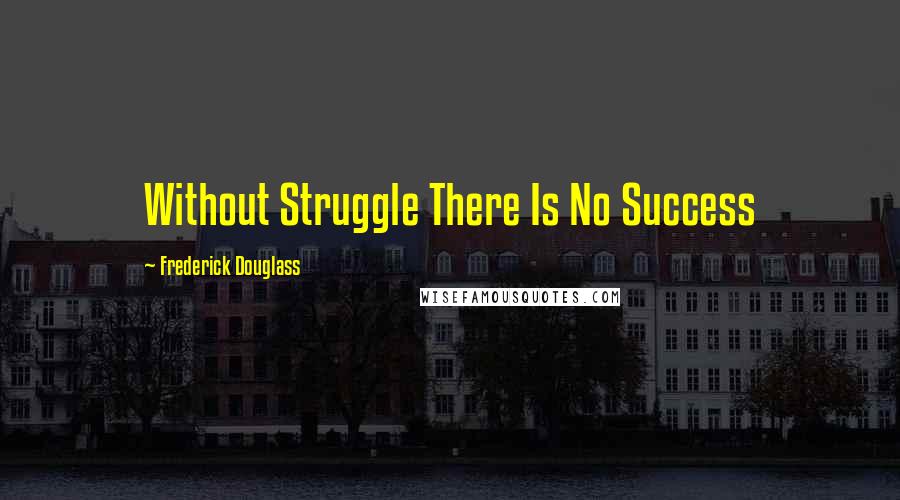 Frederick Douglass Quotes: Without Struggle There Is No Success