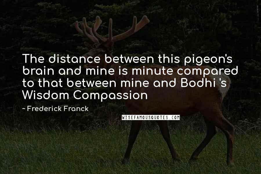 Frederick Franck Quotes: The distance between this pigeon's brain and mine is minute compared to that between mine and Bodhi 's Wisdom Compassion