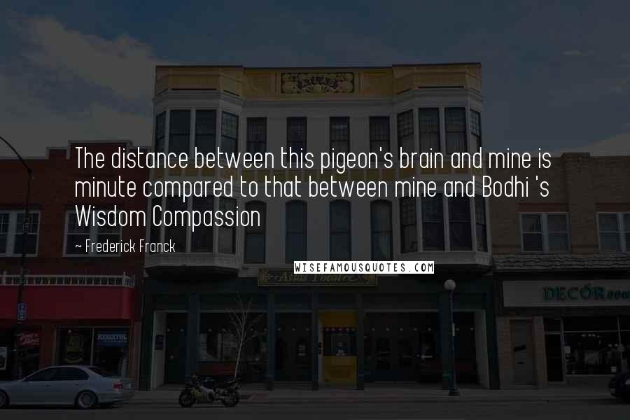 Frederick Franck Quotes: The distance between this pigeon's brain and mine is minute compared to that between mine and Bodhi 's Wisdom Compassion