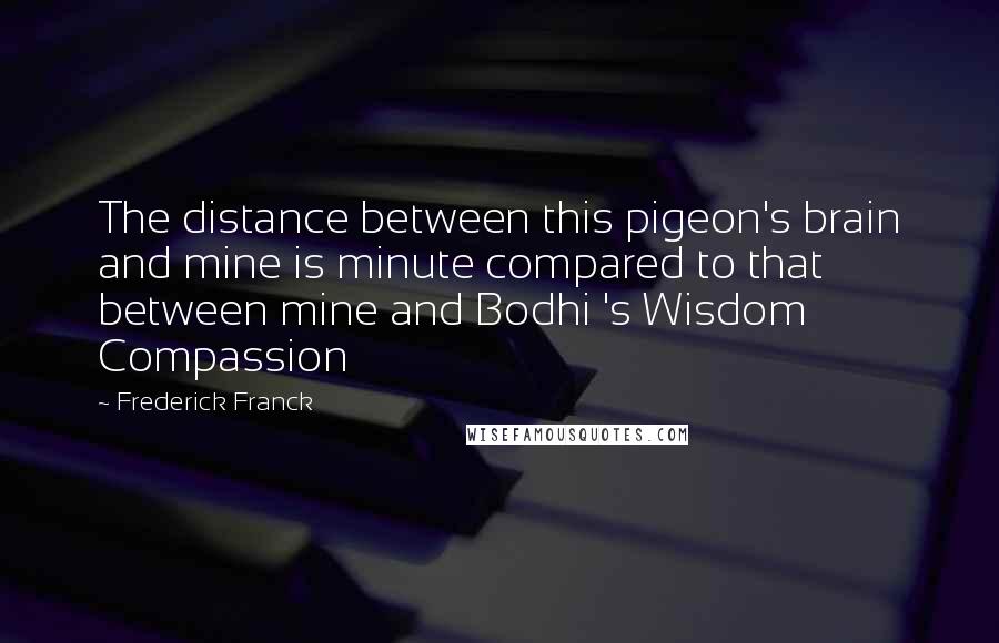 Frederick Franck Quotes: The distance between this pigeon's brain and mine is minute compared to that between mine and Bodhi 's Wisdom Compassion