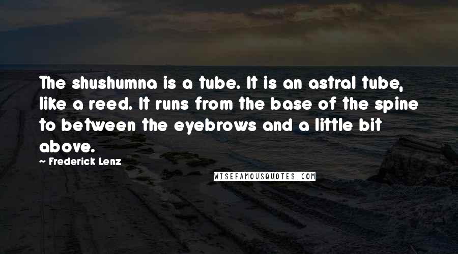 Frederick Lenz Quotes: The shushumna is a tube. It is an astral tube, like a reed. It runs from the base of the spine to between the eyebrows and a little bit above.