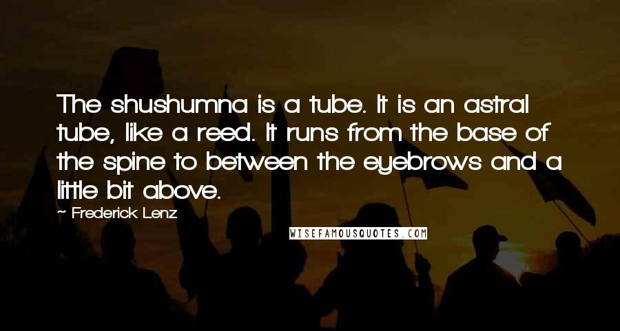 Frederick Lenz Quotes: The shushumna is a tube. It is an astral tube, like a reed. It runs from the base of the spine to between the eyebrows and a little bit above.