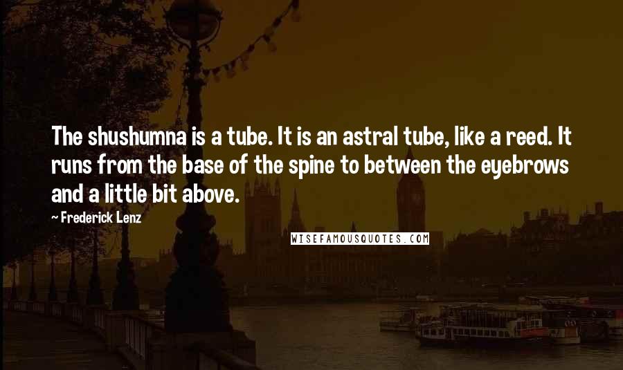 Frederick Lenz Quotes: The shushumna is a tube. It is an astral tube, like a reed. It runs from the base of the spine to between the eyebrows and a little bit above.