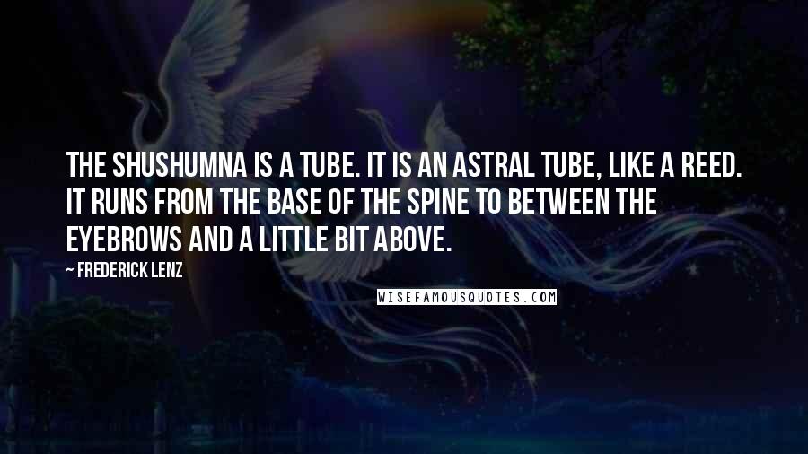Frederick Lenz Quotes: The shushumna is a tube. It is an astral tube, like a reed. It runs from the base of the spine to between the eyebrows and a little bit above.