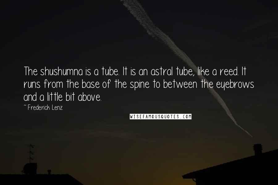 Frederick Lenz Quotes: The shushumna is a tube. It is an astral tube, like a reed. It runs from the base of the spine to between the eyebrows and a little bit above.