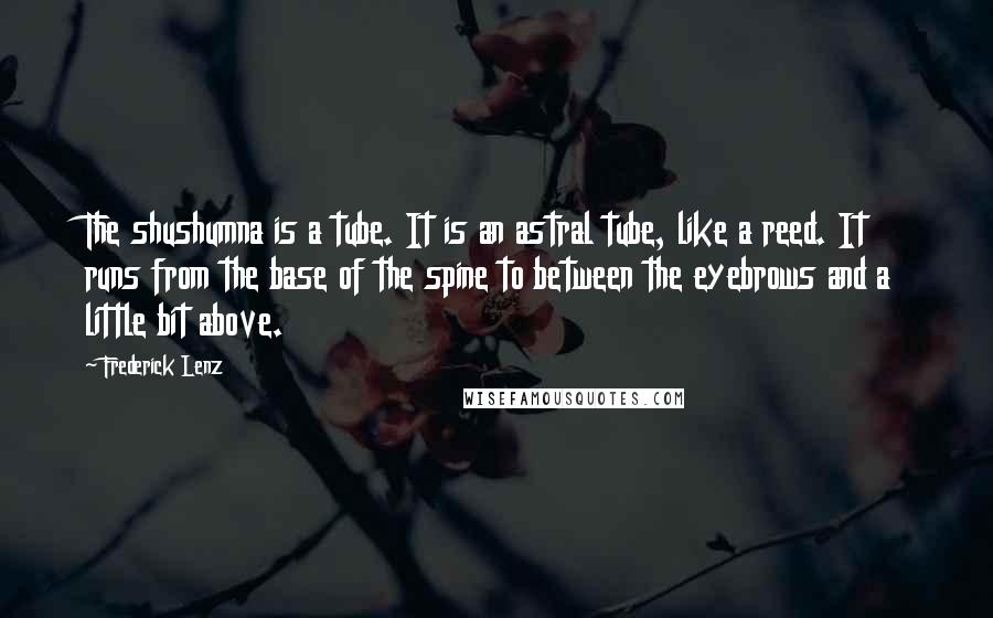 Frederick Lenz Quotes: The shushumna is a tube. It is an astral tube, like a reed. It runs from the base of the spine to between the eyebrows and a little bit above.