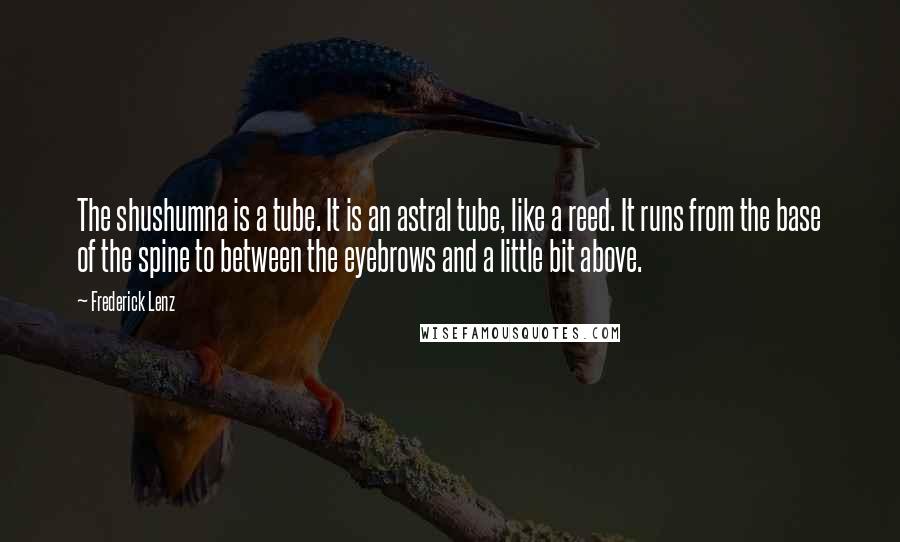 Frederick Lenz Quotes: The shushumna is a tube. It is an astral tube, like a reed. It runs from the base of the spine to between the eyebrows and a little bit above.