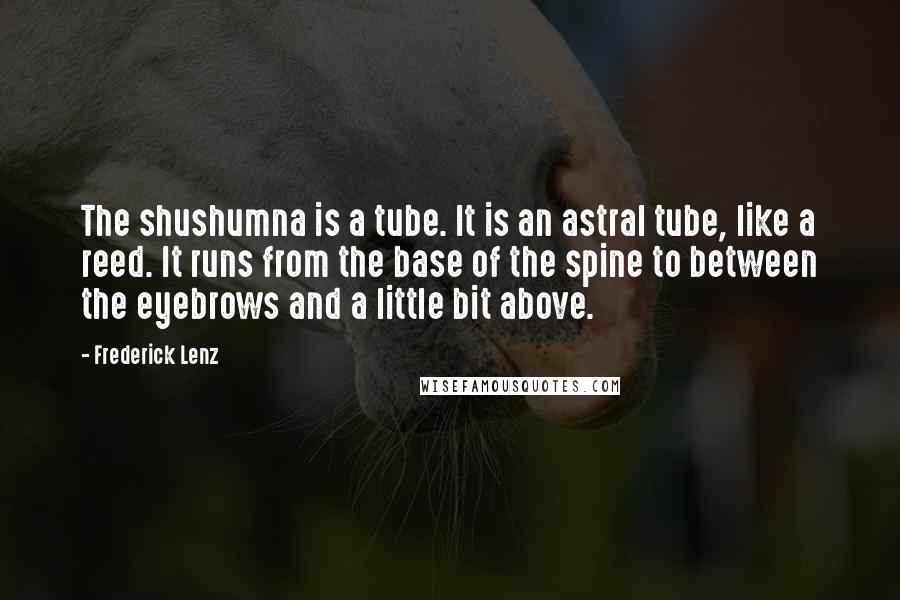 Frederick Lenz Quotes: The shushumna is a tube. It is an astral tube, like a reed. It runs from the base of the spine to between the eyebrows and a little bit above.