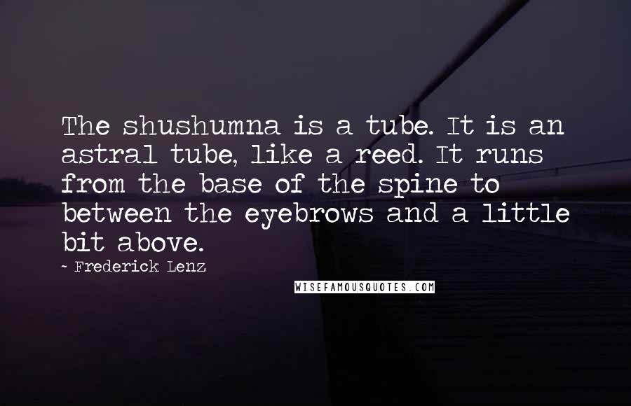 Frederick Lenz Quotes: The shushumna is a tube. It is an astral tube, like a reed. It runs from the base of the spine to between the eyebrows and a little bit above.