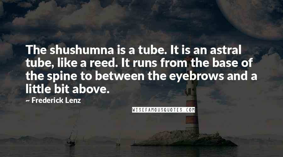 Frederick Lenz Quotes: The shushumna is a tube. It is an astral tube, like a reed. It runs from the base of the spine to between the eyebrows and a little bit above.