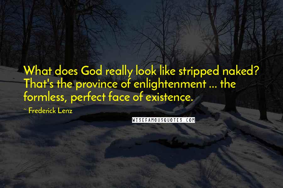 Frederick Lenz Quotes: What does God really look like stripped naked? That's the province of enlightenment ... the formless, perfect face of existence.