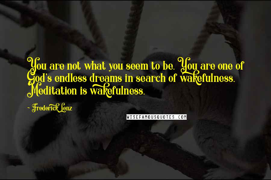 Frederick Lenz Quotes: You are not what you seem to be. You are one of God's endless dreams in search of wakefulness. Meditation is wakefulness.