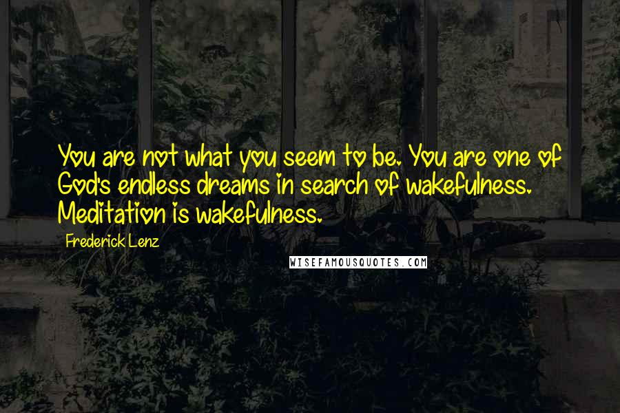 Frederick Lenz Quotes: You are not what you seem to be. You are one of God's endless dreams in search of wakefulness. Meditation is wakefulness.