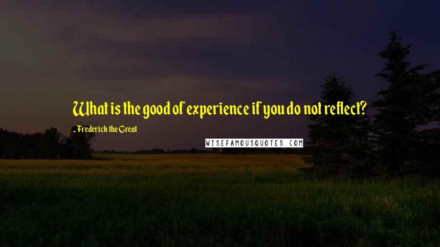 Frederick The Great Quotes: What is the good of experience if you do not reflect?