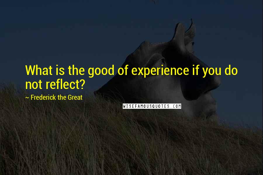 Frederick The Great Quotes: What is the good of experience if you do not reflect?