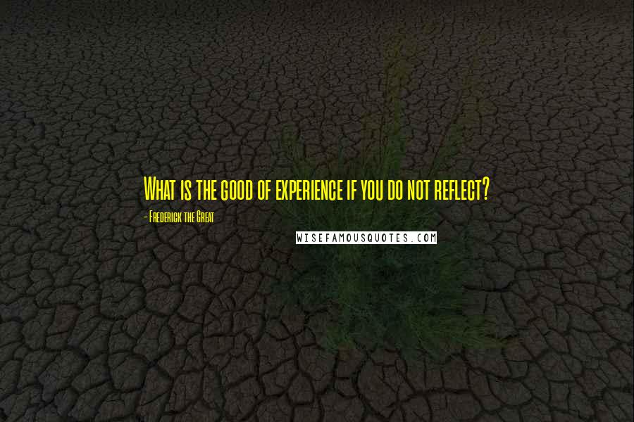 Frederick The Great Quotes: What is the good of experience if you do not reflect?