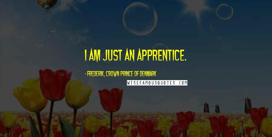 Frederik, Crown Prince Of Denmark Quotes: I am just an apprentice.