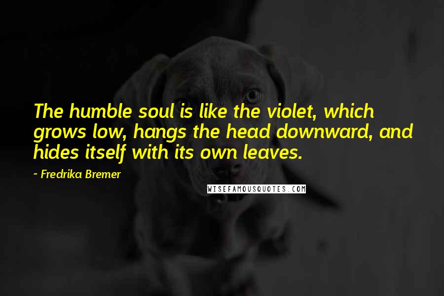 Fredrika Bremer Quotes: The humble soul is like the violet, which grows low, hangs the head downward, and hides itself with its own leaves.