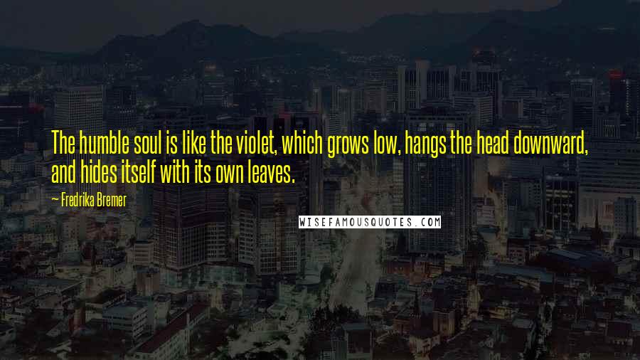 Fredrika Bremer Quotes: The humble soul is like the violet, which grows low, hangs the head downward, and hides itself with its own leaves.