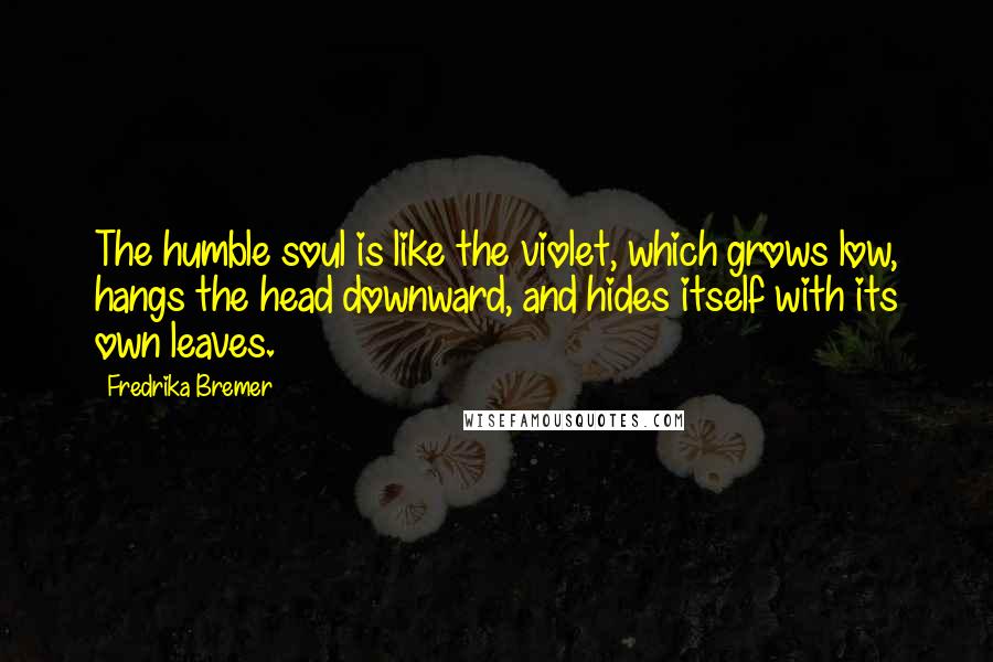 Fredrika Bremer Quotes: The humble soul is like the violet, which grows low, hangs the head downward, and hides itself with its own leaves.