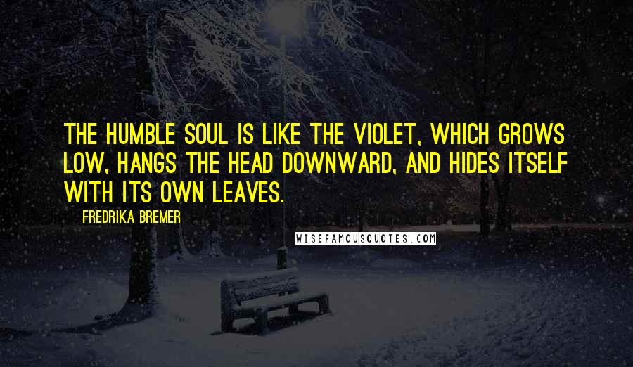 Fredrika Bremer Quotes: The humble soul is like the violet, which grows low, hangs the head downward, and hides itself with its own leaves.