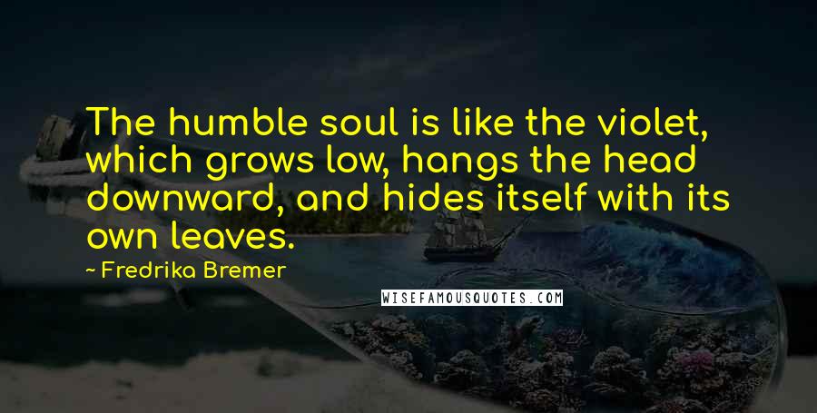 Fredrika Bremer Quotes: The humble soul is like the violet, which grows low, hangs the head downward, and hides itself with its own leaves.