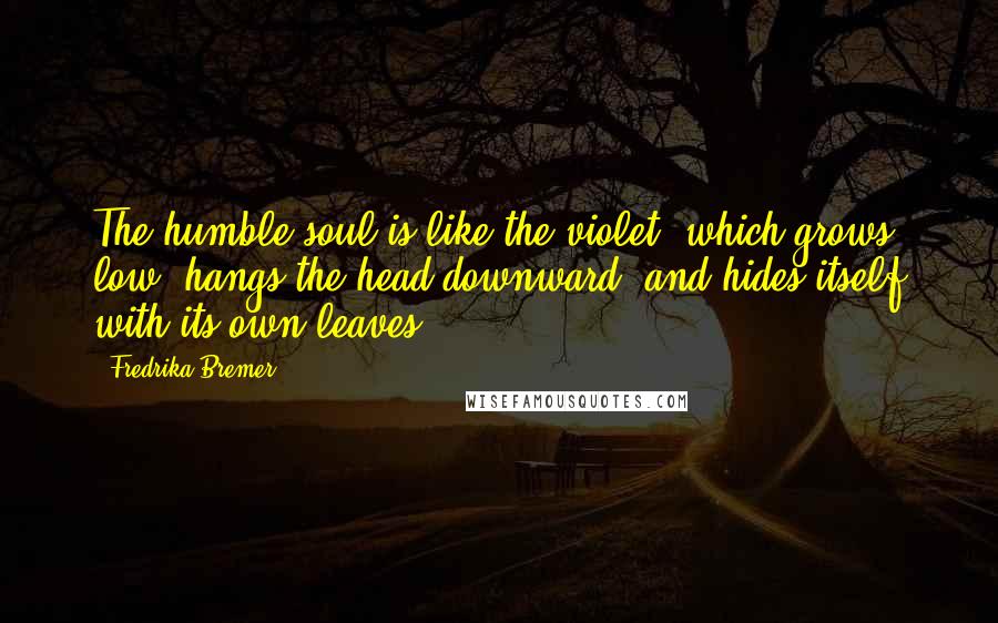 Fredrika Bremer Quotes: The humble soul is like the violet, which grows low, hangs the head downward, and hides itself with its own leaves.