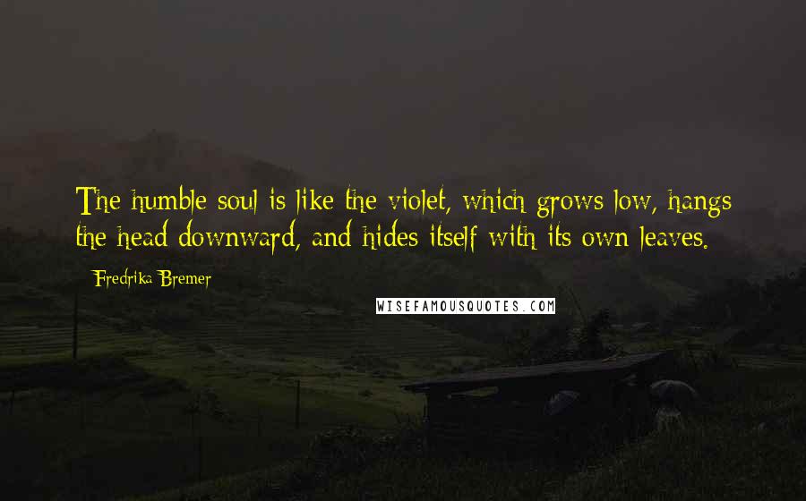 Fredrika Bremer Quotes: The humble soul is like the violet, which grows low, hangs the head downward, and hides itself with its own leaves.