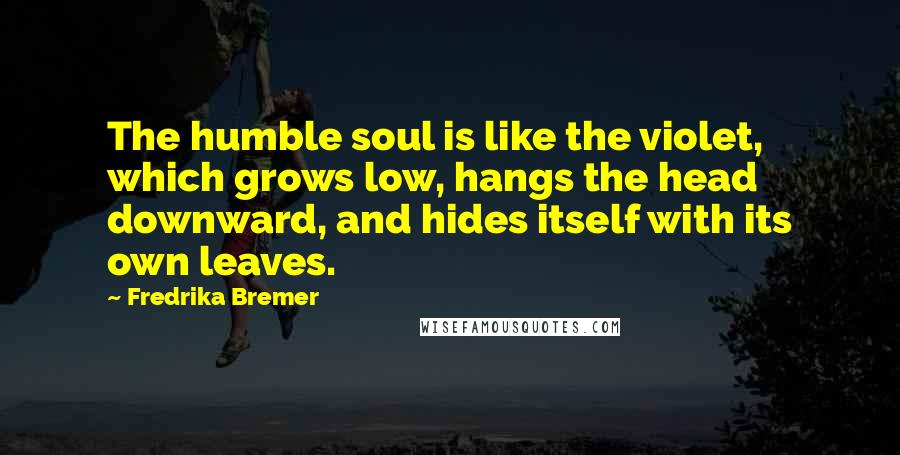 Fredrika Bremer Quotes: The humble soul is like the violet, which grows low, hangs the head downward, and hides itself with its own leaves.