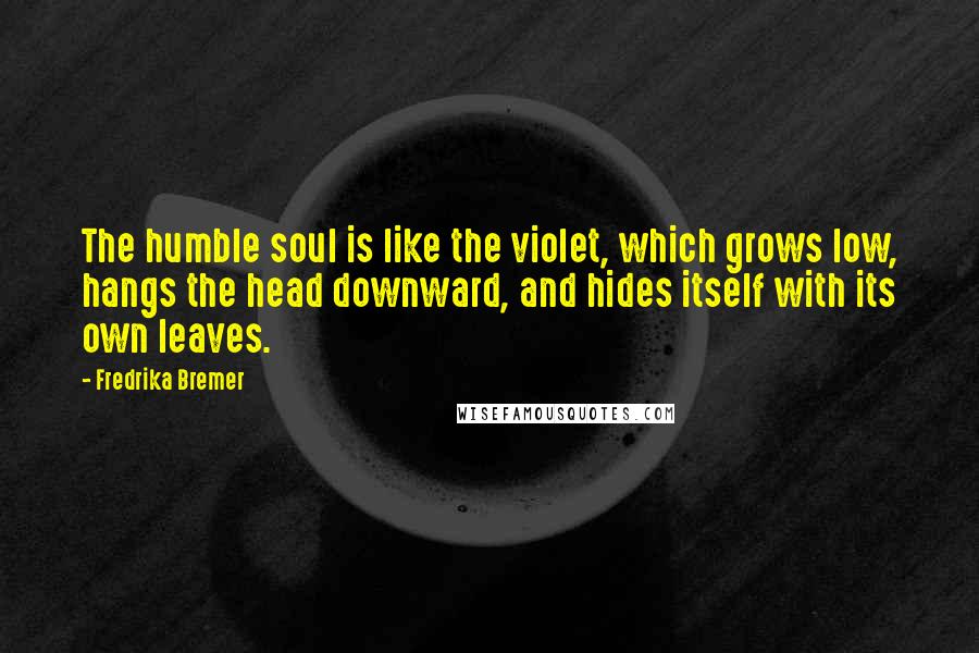 Fredrika Bremer Quotes: The humble soul is like the violet, which grows low, hangs the head downward, and hides itself with its own leaves.
