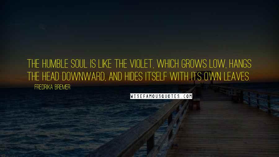 Fredrika Bremer Quotes: The humble soul is like the violet, which grows low, hangs the head downward, and hides itself with its own leaves.