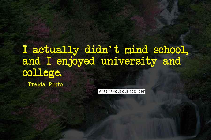 Freida Pinto Quotes: I actually didn't mind school, and I enjoyed university and college.