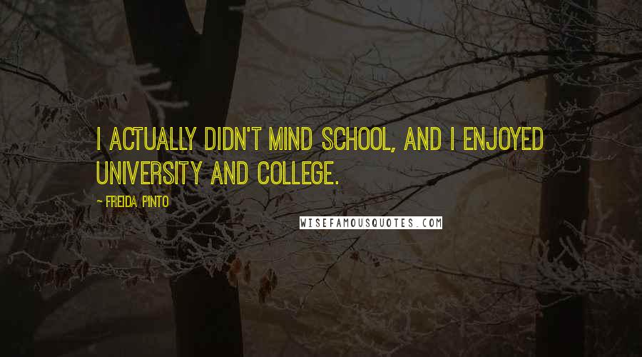 Freida Pinto Quotes: I actually didn't mind school, and I enjoyed university and college.