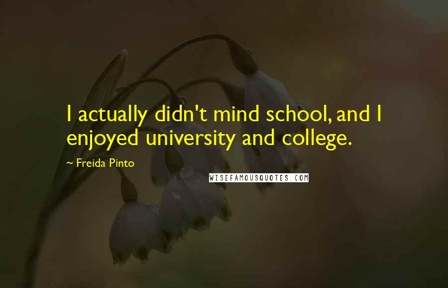 Freida Pinto Quotes: I actually didn't mind school, and I enjoyed university and college.