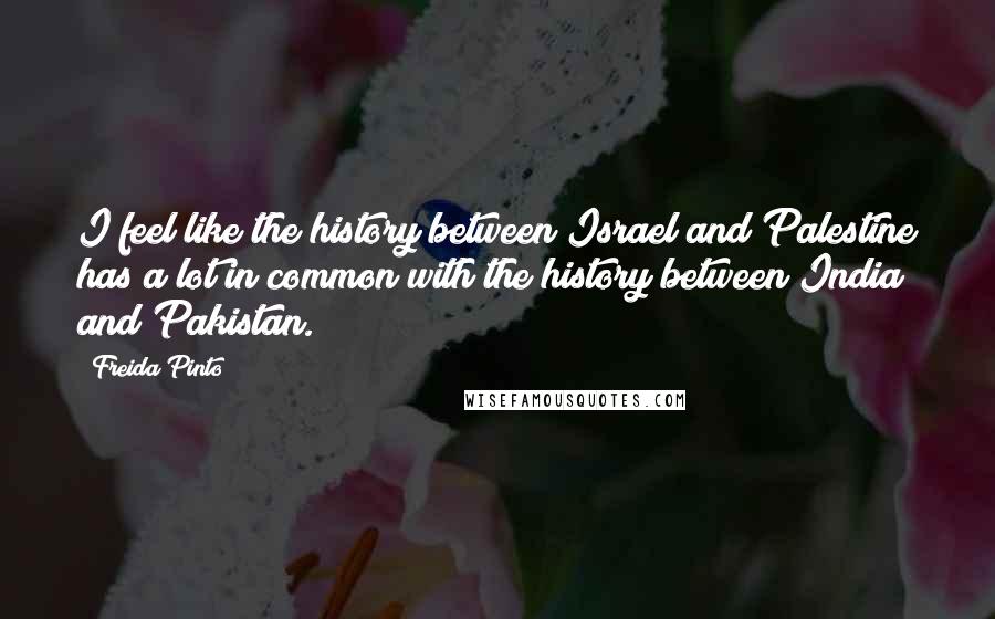 Freida Pinto Quotes: I feel like the history between Israel and Palestine has a lot in common with the history between India and Pakistan.