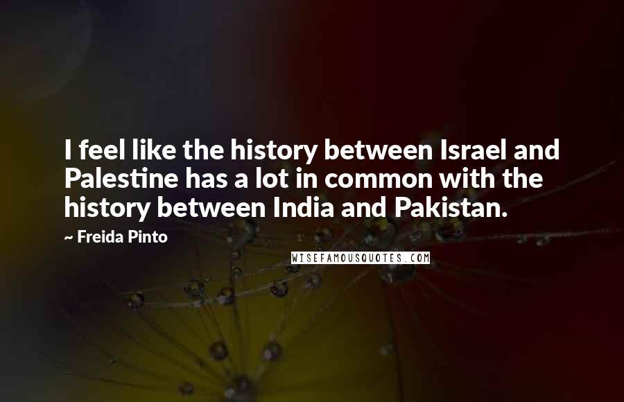 Freida Pinto Quotes: I feel like the history between Israel and Palestine has a lot in common with the history between India and Pakistan.