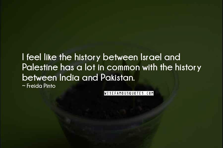 Freida Pinto Quotes: I feel like the history between Israel and Palestine has a lot in common with the history between India and Pakistan.