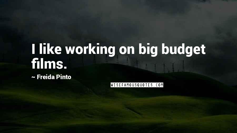 Freida Pinto Quotes: I like working on big budget films.