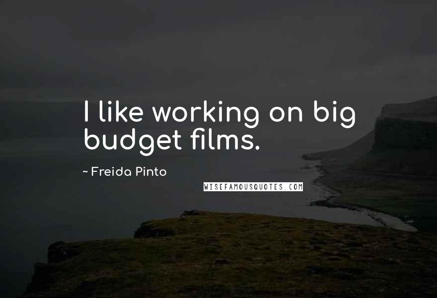 Freida Pinto Quotes: I like working on big budget films.