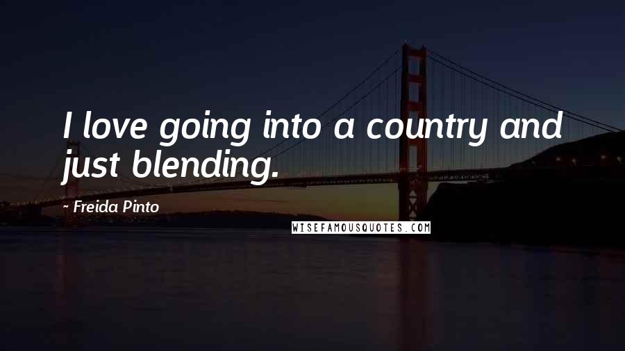 Freida Pinto Quotes: I love going into a country and just blending.