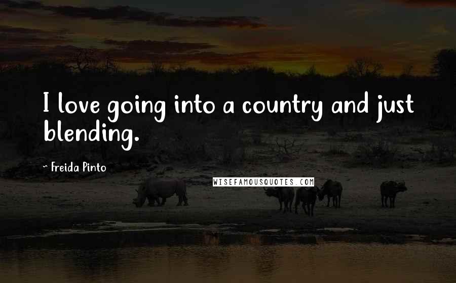 Freida Pinto Quotes: I love going into a country and just blending.