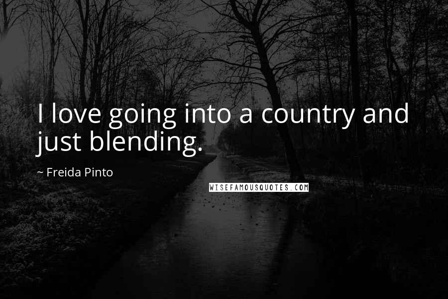 Freida Pinto Quotes: I love going into a country and just blending.