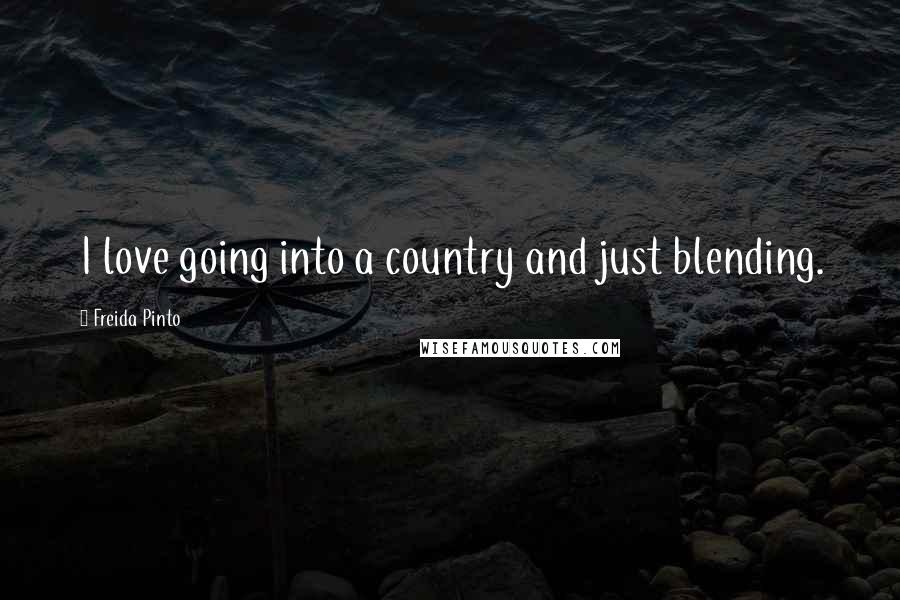 Freida Pinto Quotes: I love going into a country and just blending.