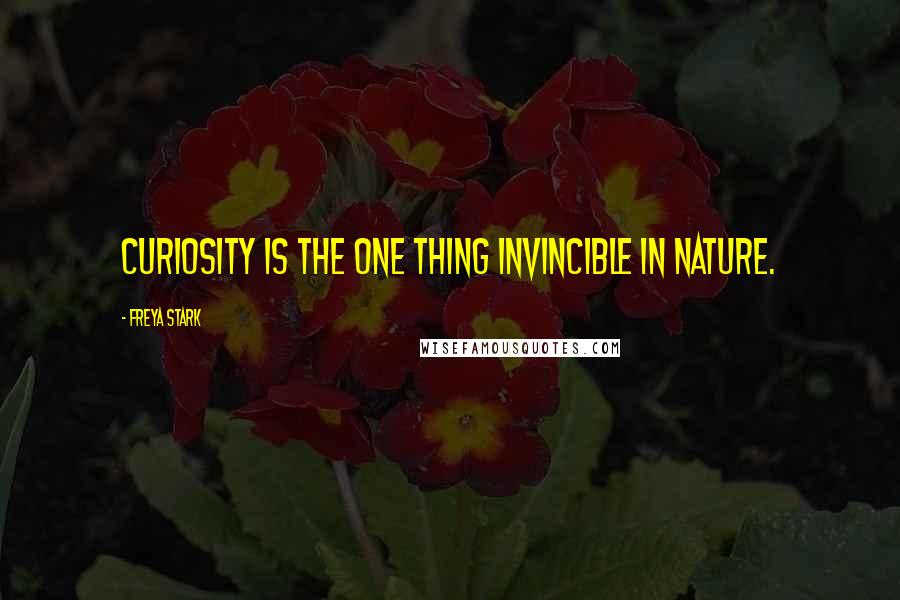 Freya Stark Quotes: Curiosity is the one thing invincible in Nature.